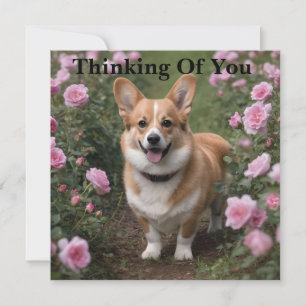 Corgi Nas Rosas Rosa, Pensando Em Você