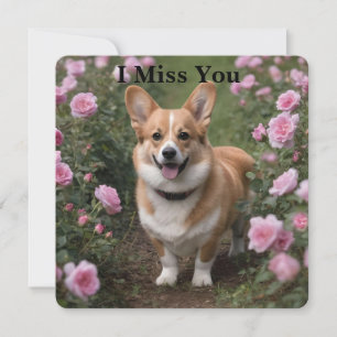 Corgi Nas Rosas Rosa, Sinto Sua Falta