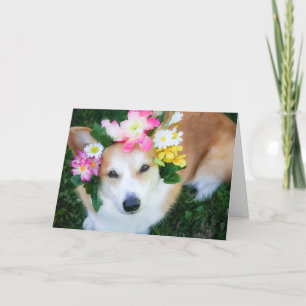 Corgi no cartão de aniversário da Flower Garland
