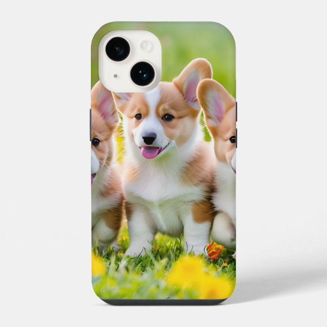 Corgies tocando na grama (Verso)