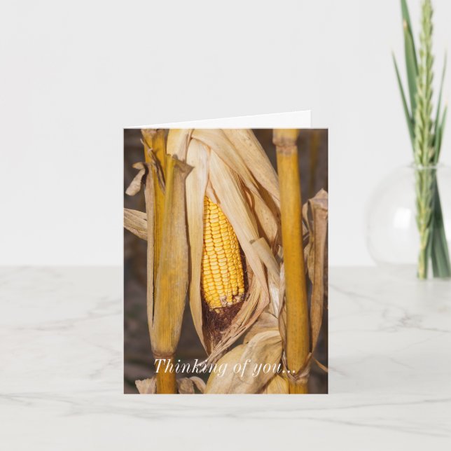 Corn Cobb Sobre O Seu Cartão (Frente)