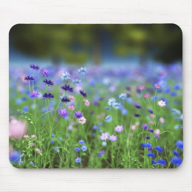 Cornflower Blue Mousepad (Frente)