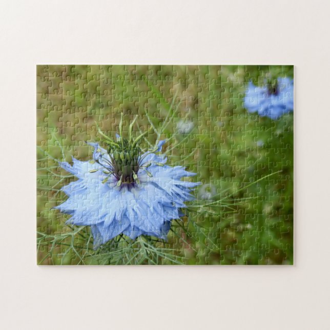 Cornflower Photo Quebra-cabeça (Horizontal)