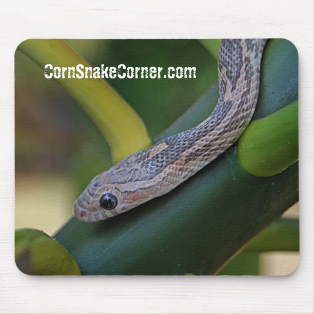 CornSnakeCorner Mousepad (Frente)