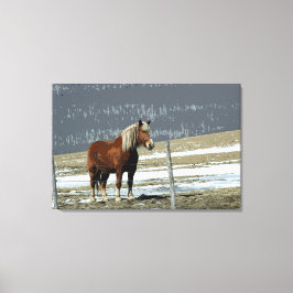 Coroa Belga, Arte De Canvas De Paddock