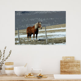Coroa Belga De Paddock Poster