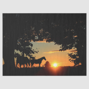 Coros Papel Tecido de Decoupage de Separação Sunse