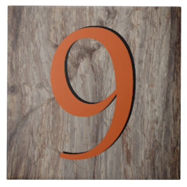 Corpo do Brilho de Cobre Número Azulejo 9 na Cinza