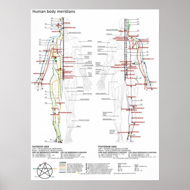 Corpo Humano Chinês Mereidiano poster esquemático (Frente)