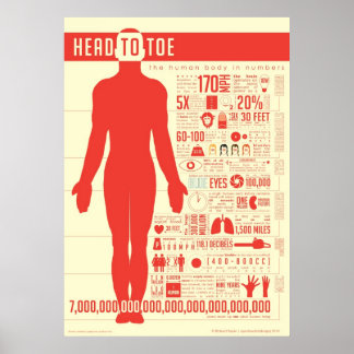 Corpo Humano em Números Poster