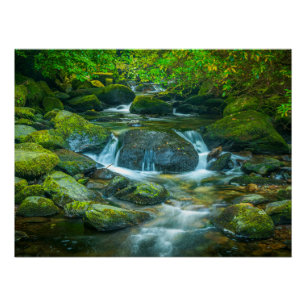 Córrego da Floresta Irlandesa – Impressão de Foto 