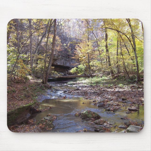 Córrego Mousepad do outono (Frente)