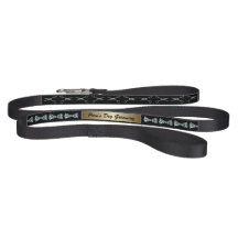 Elegante Arcos de Diamante Cão Cachorro Alinhando