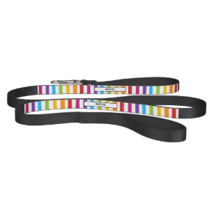 Correia Stripes Coloridas Modernas do Arco-íris Personaliz