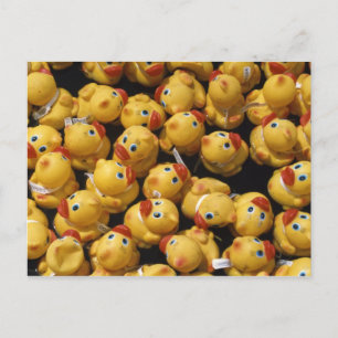 Corrida de patos-de-borracha - Cartão postal