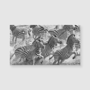 Corrida de zebras
