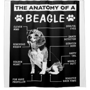 Cortina Para Box A Anatomia De Um Cão-De-Feixe