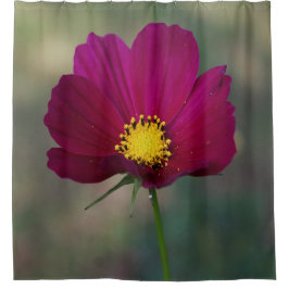 Cortina Para Box A flor perfeita da irmã