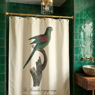 Cortina Para Box A periquita-de-garganta-vermelha