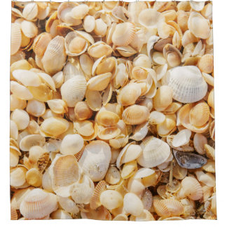 Cortina Para Box A praia de verão texturizou Seashell.