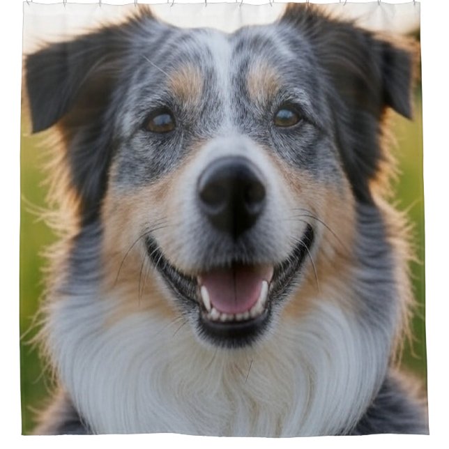 Cortina Para Box Adicionar Foto Pet Personalizar (Frente)