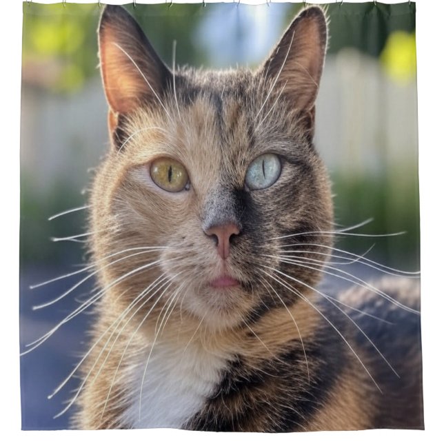 Cortina Para Box Adicionar Personalização de Foto de Cat (Frente)