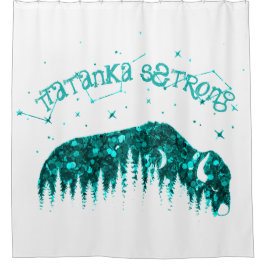 Cortina Para Box American Bison Moon Star Galaxy Teal White Travel