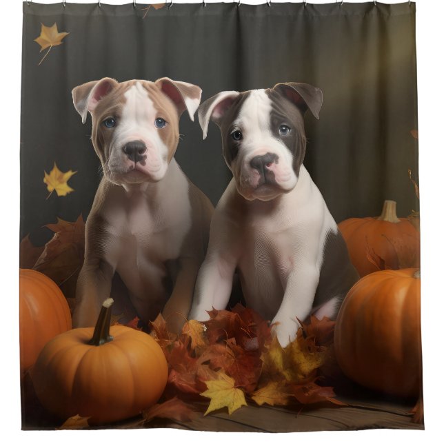 Cortina Para Box American Staffordshire Puppy Autumn Delight (Frente)