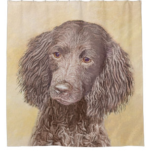 Cortina Para Box American Water Spaniel Painting - Arte Original de