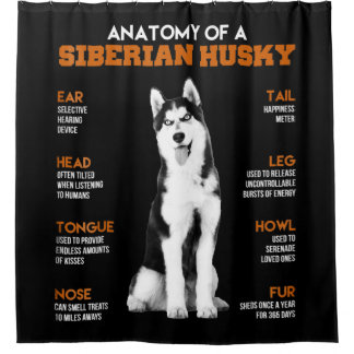 Cortina Para Box Anatomia de um cão siberiano Husky Arte engraçada