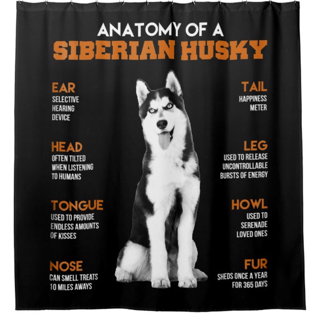 Cortina Para Box Anatomia de um cão siberiano Husky Arte engraçada (Frente)