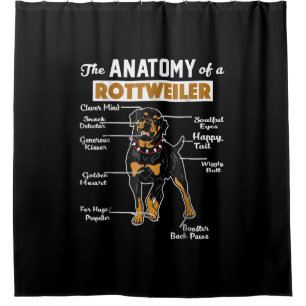 Cortina Para Box Anatomia de um Rottweiler