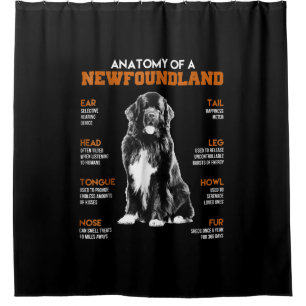Cortina Para Box Anatomia Engraçada De Cães Da Terra Nova