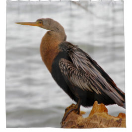 Cortina Para Box Anhinga de Vigília