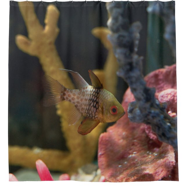 Cortina Para Box Animais do mar (Frente)