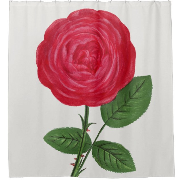 Cortina Para Box Antique Rose Lithograph, François-Frédéric Grobon (Frente)