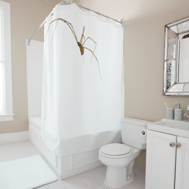 Cortina Para Box Aranha (In Situ)