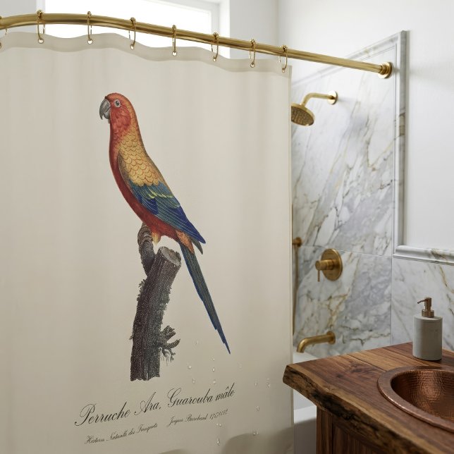 Cortina Para Box Aratinga-sol, Aratinga Solstitialis (Sun Parakeet Male, Aratinga Solstitialis. Shower Curtain)