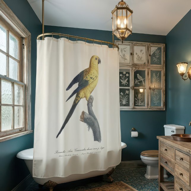 Cortina Para Box Aratinga solstitialis (Guarouba dans sons jeune age / Sun parakeet. Shower Curtain)