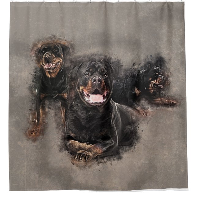 Cortina Para Box Arte de Rottweiler - de Metzgerhund Digital (Frente)