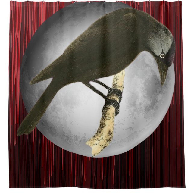 Cortina Para Box Arte Sobre Aves Selvagens - A Lua Raven (Frente)