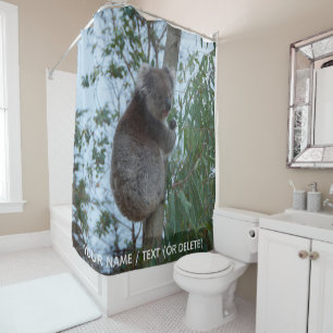 Cortina Para Box Austrália Koala em um animal de árvore