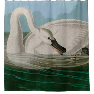 Cortina Para Box Aves do Cisne da América - Impressão de Audubon