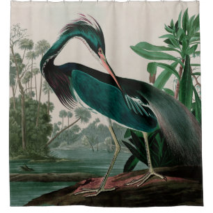 Cortina Para Box Aves do Herão da Louisiana da Impressão de Audub