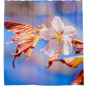 Cortina Para Box Azul-céu cor-de-rosa Sakura