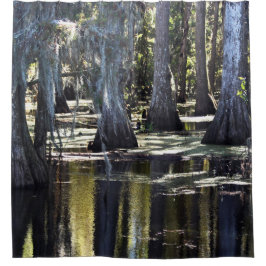 Cortina Para Box Bald Cypress Trees