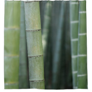 Cortina Para Box Bambu verde