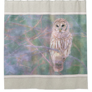 Cortina Para Box Barred Owl Pastel Oilpainting