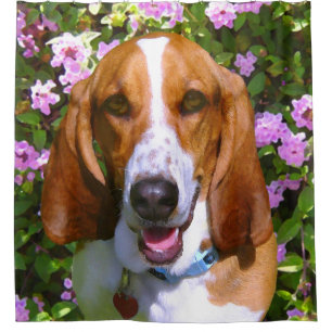 Cortina Para Box Basset Hound feliz