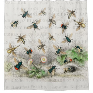 Cortina Para Box Bee Honey Queen Bees Antique